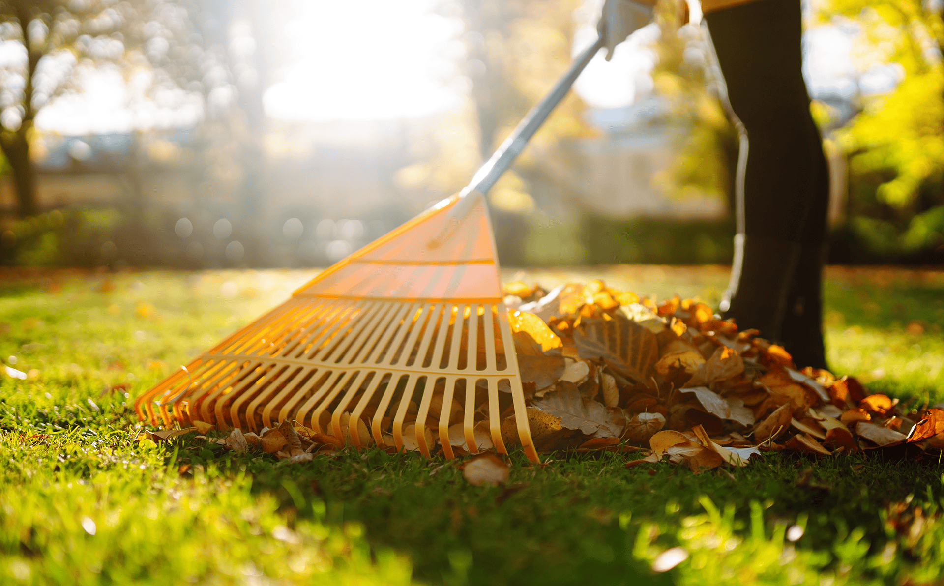 Community in Action: Amerisure Joins Life Remodeled in Detroit